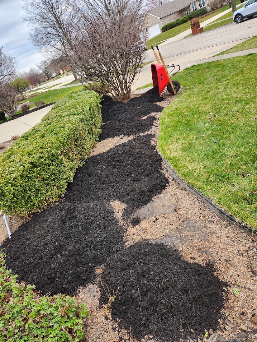 Landscaping project